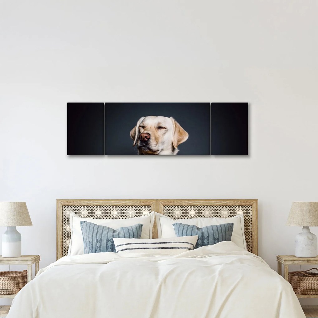 Obraz labradora (170x50 cm)