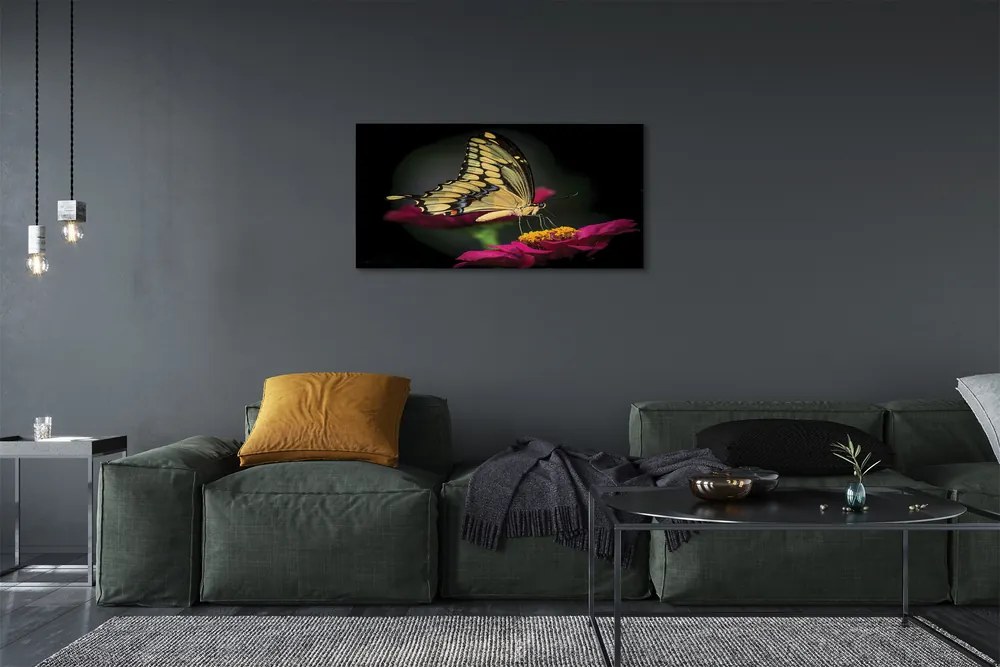Obraz na płótnie Motyl na Roślinie
