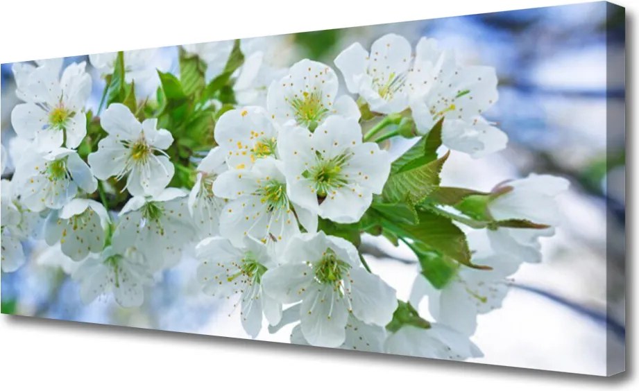 Obraz canvas Korony Drzew w Pełni Lata