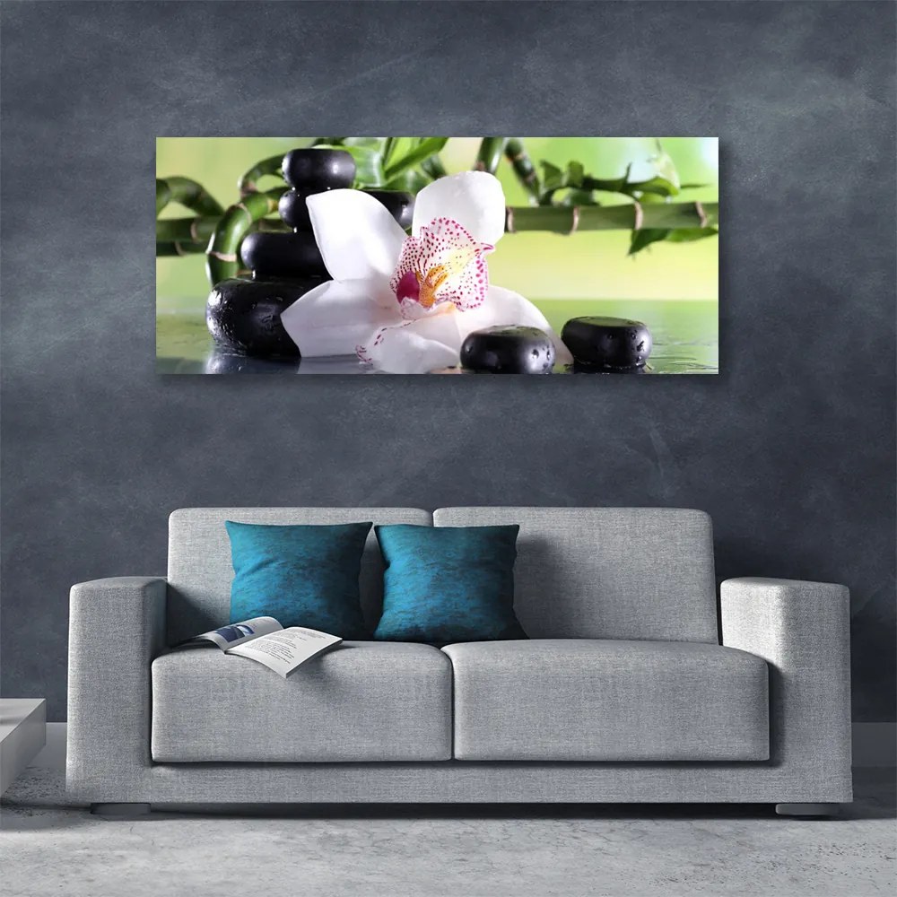 Obraz canvas Promienie Słońca w Zielonych Liściach