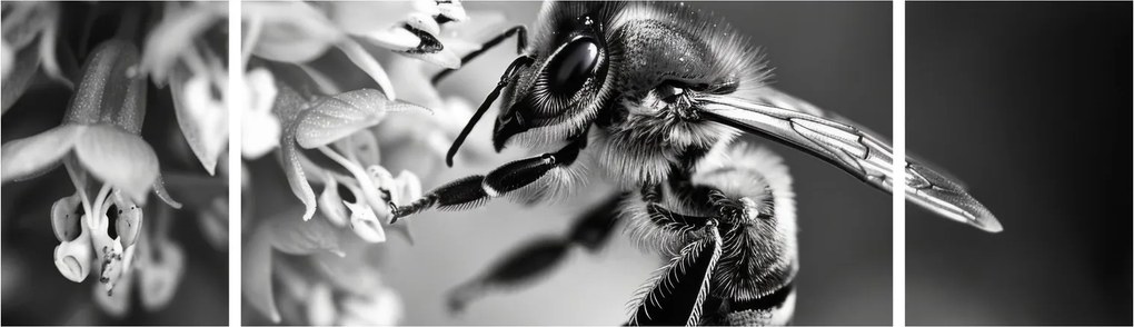 Obraz - Szczegół pszczoły (170x50 cm)