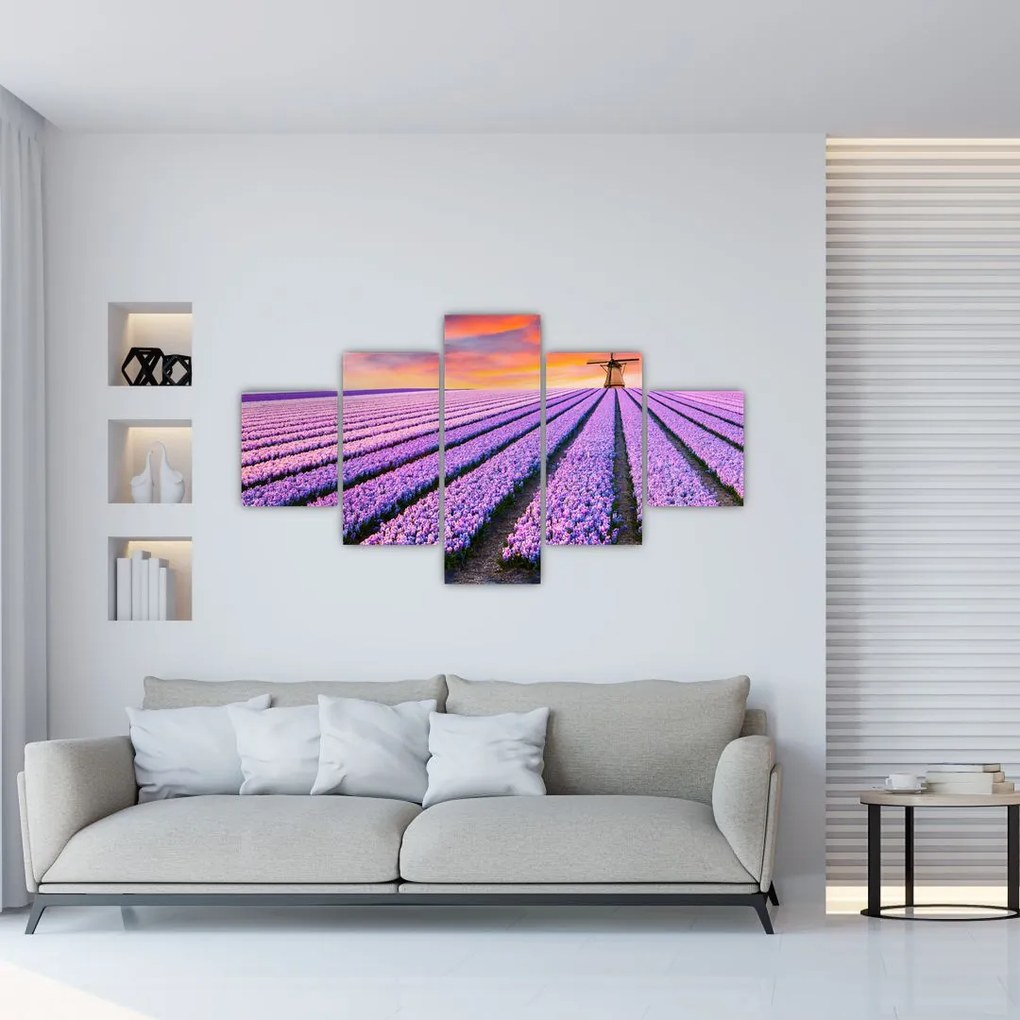 Obraz - farma kwiatów (125x70 cm)
