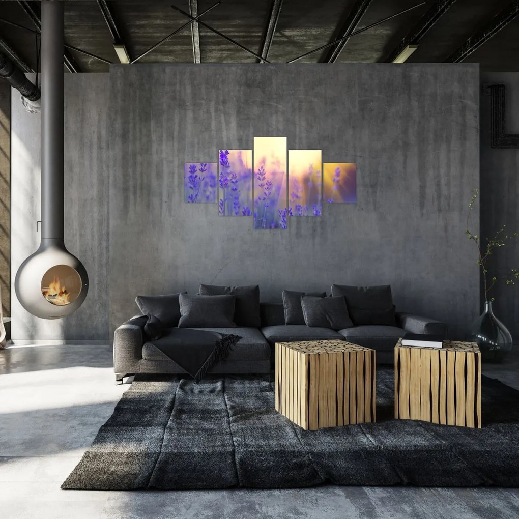 Obraz - Lawenda (125x70 cm)