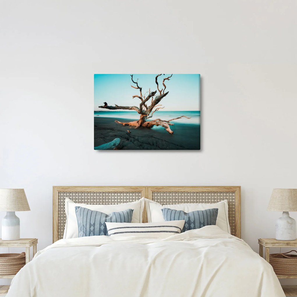 Obraz - Wyłowiono na plaży (70x50 cm)