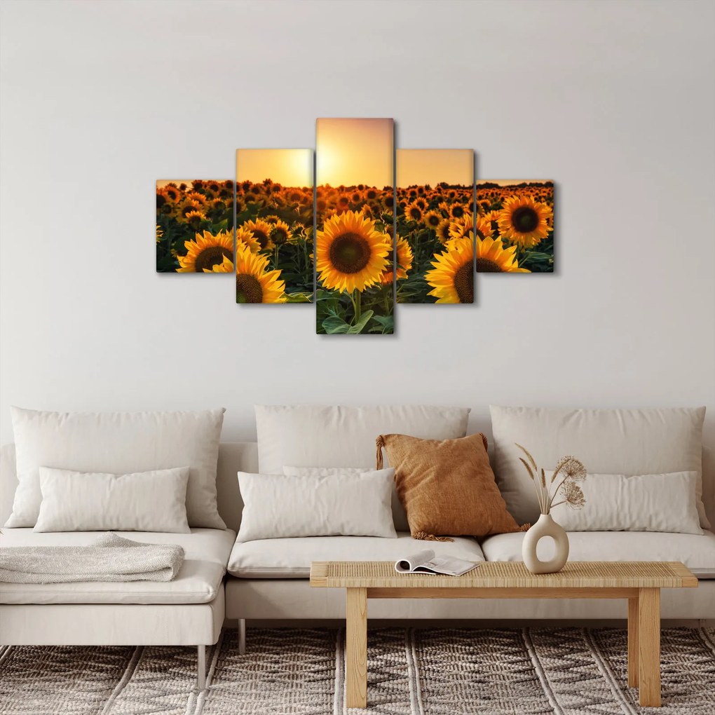 Obraz - Słonecznik (125x70 cm)