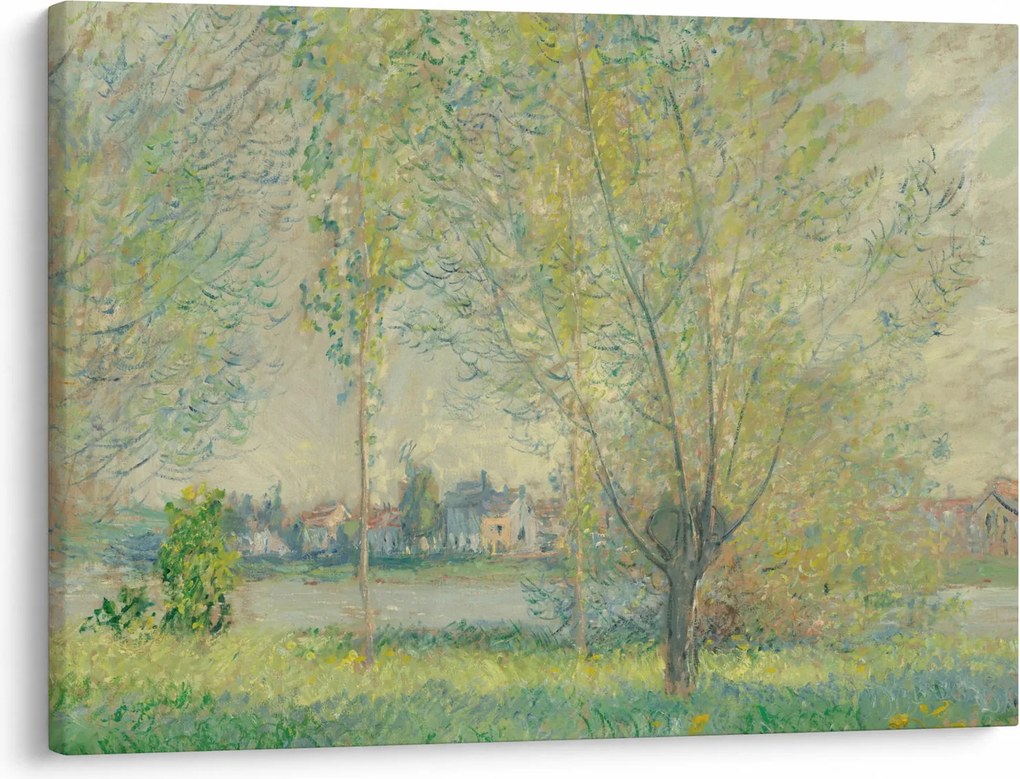 Obraz - Claude Monet, The Willows, reprodukcje (70x50 cm)