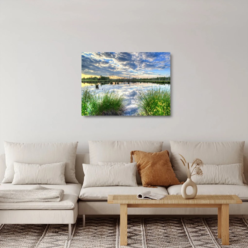 Obraz na szkle jeziora z trzcinami (70x50 cm)