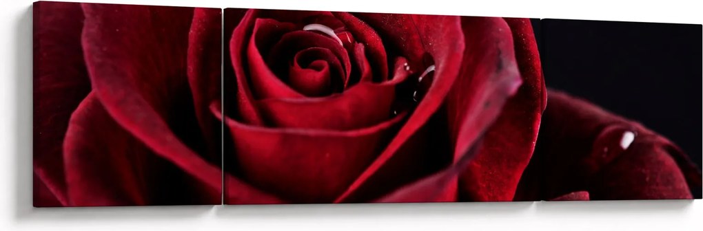 Obraz - Czerwona róża (170x50 cm)