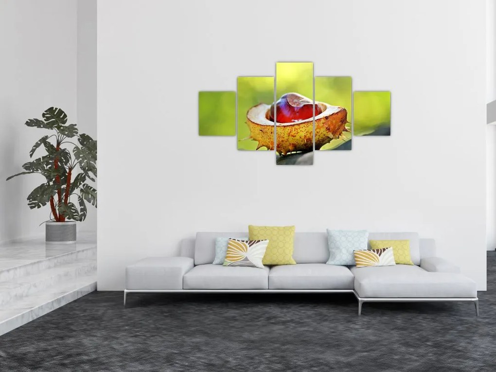 Obraz kasztanowów (125x70 cm)