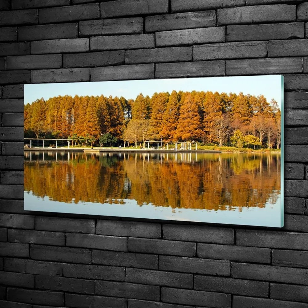Foto obraz szklany Las nad jeziorem