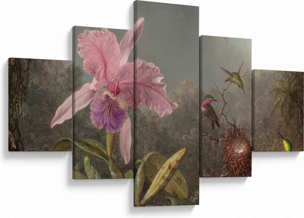 Obraz - Martin Johnson Heade, Cattleya Orchid and Three Hummingbirds, reprodukcje (125x70 cm)