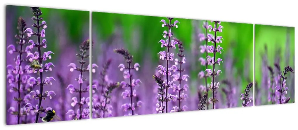 Obraz fioletowych kwiatów polnych (170x50 cm)