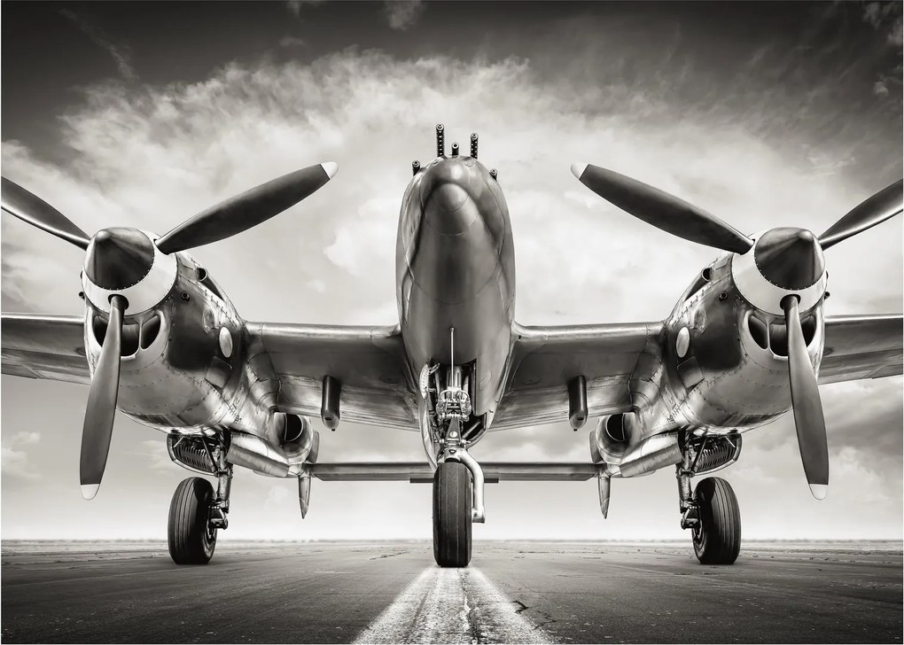 Obraz na szkle - Warbird (70x50 cm)