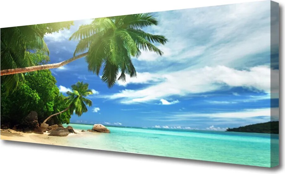 Duży obraz na płótnie Rajski Brzeg z Palmami