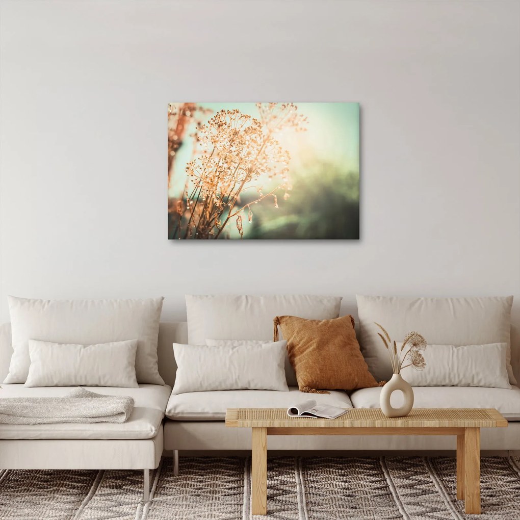 Obraz - Rośliny po deszczu (70x50 cm)