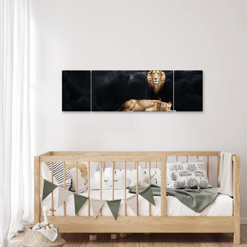 Obraz - Lew i lwica w chmurach (170x50 cm)