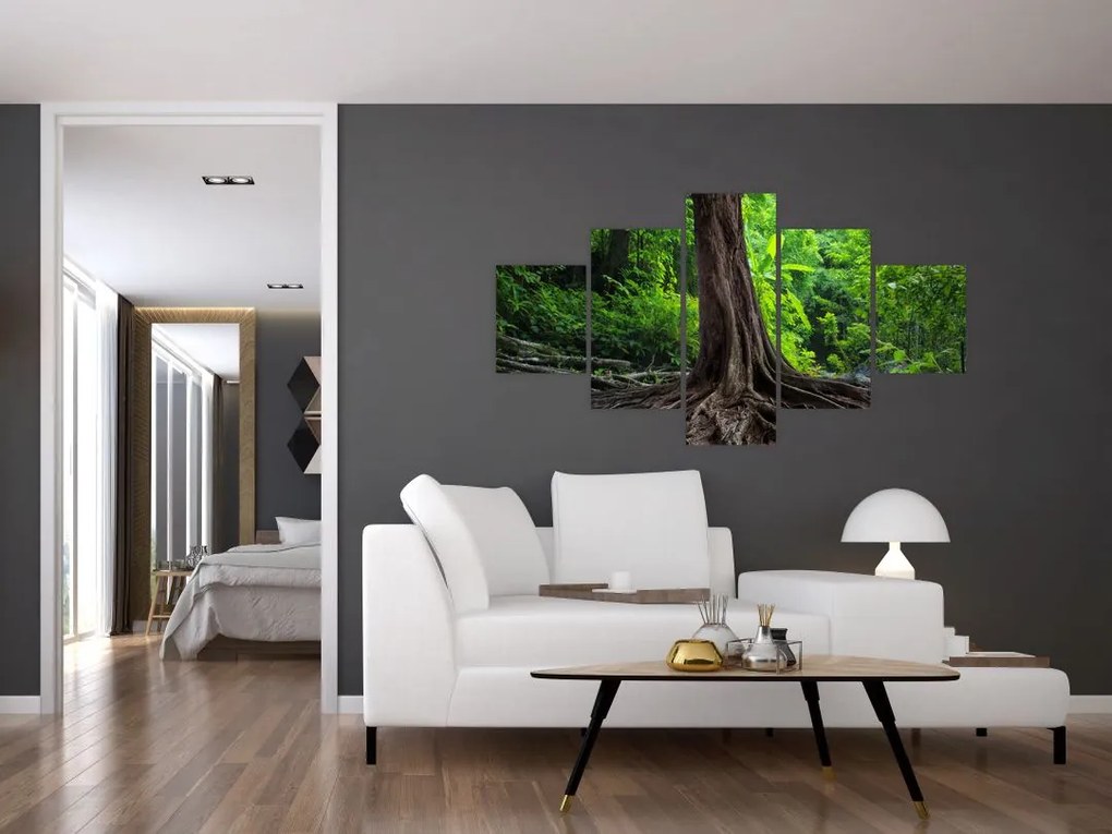 Obraz - Stare drzewo z korzeniami (125x70 cm)