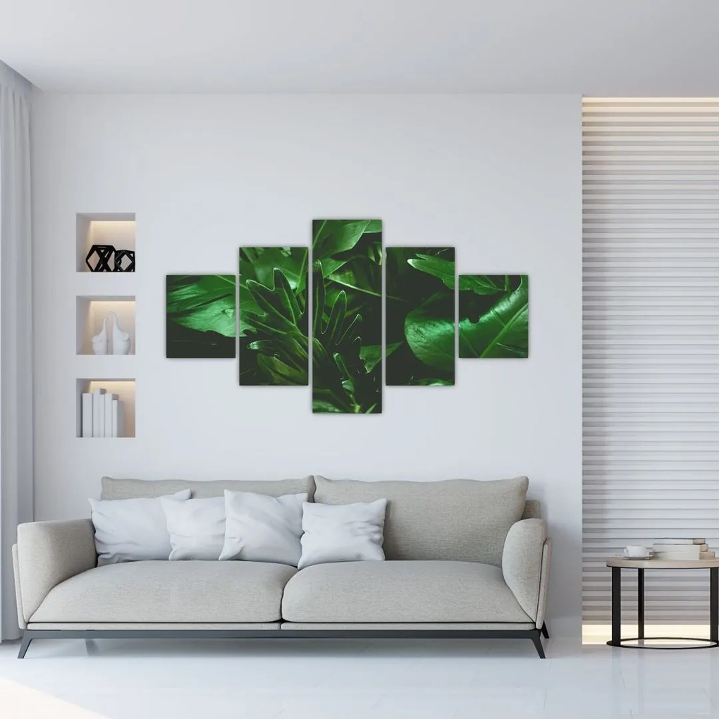 Obraz - Liście palmowe (125x70 cm)