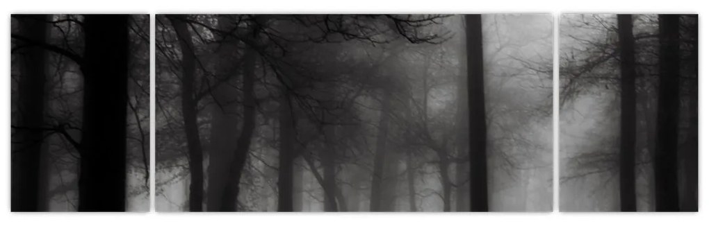 Obraz - Las we mgle (170x50 cm)