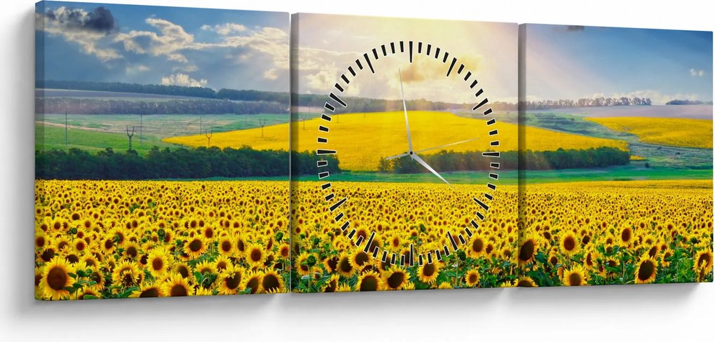 Obraz - Pole słoneczników (z zegarem) (90x30 cm)