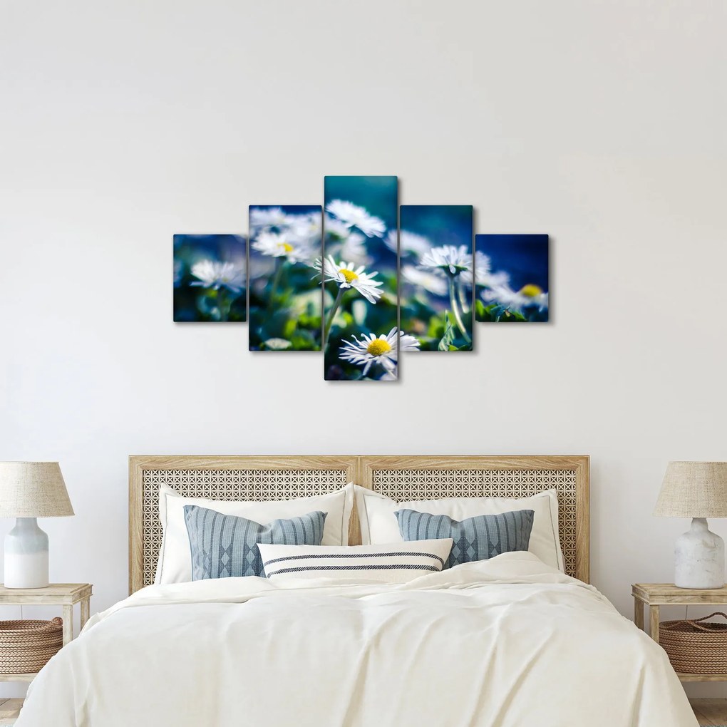 Obraz stokrotek (125x70 cm)
