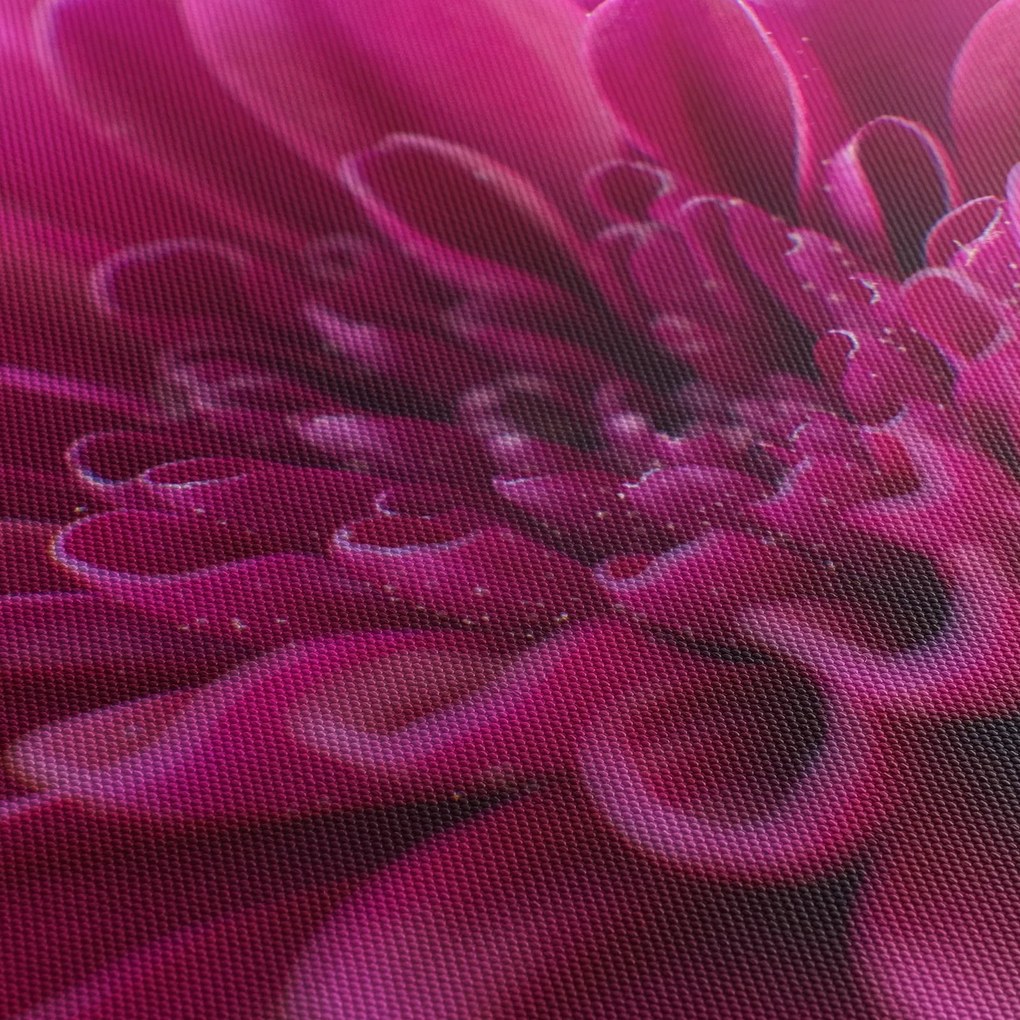 Obraz kwiatu (170x50 cm)