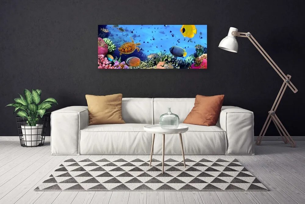 Obraz canvas Podwodny Świat Rafy Koralowej