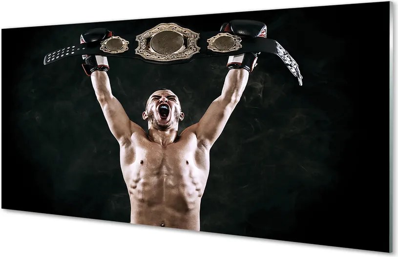 Szkło do Kuchni na Ścianę Pas Mistrzowski