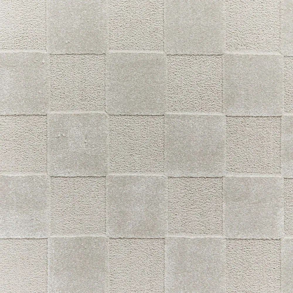 Jasnoszary dywan 200x290 cm Elio Silver – Think Rugs