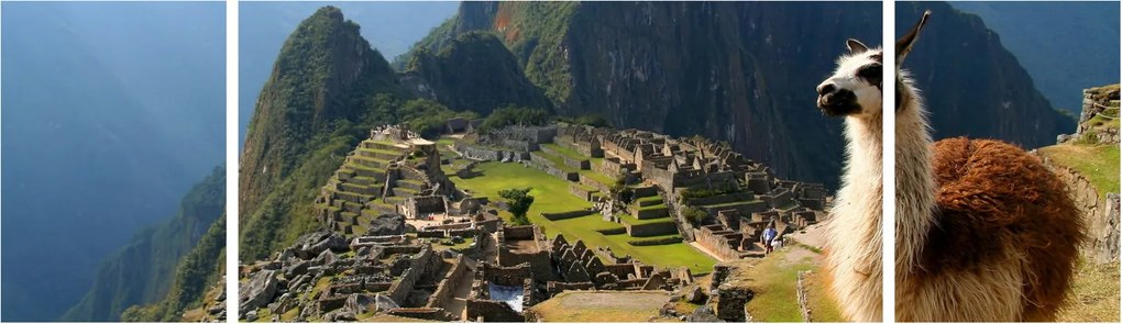 Obraz - Lama i Machu Picchu (170x50 cm)