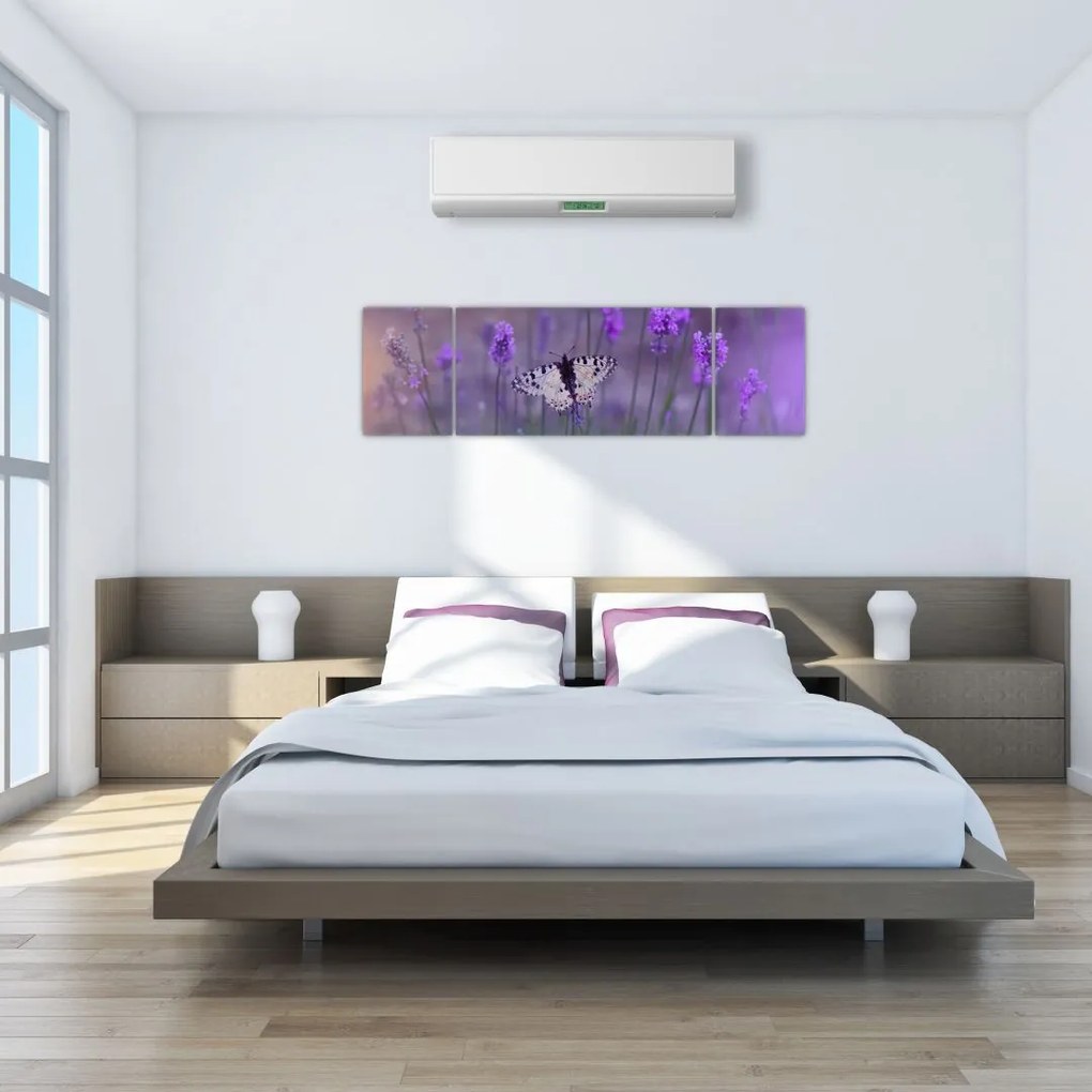 Obraz - Motyl w lawendach (170x50 cm)