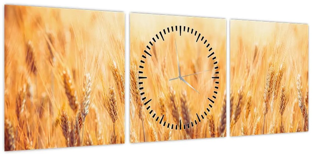 Obraz - pole z ziarnami (z zegarem) (90x30 cm)
