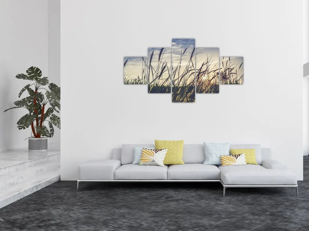 Obraz kwiatów łąkowych (125x70 cm)