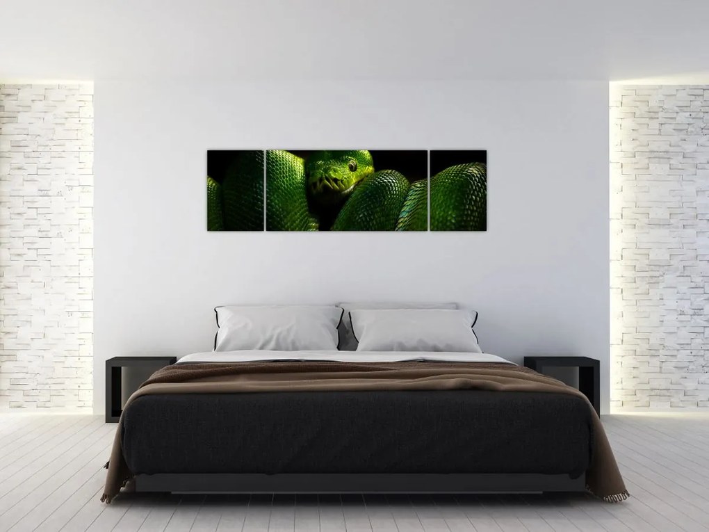 Obraz - Zielony wąż (170x50 cm)