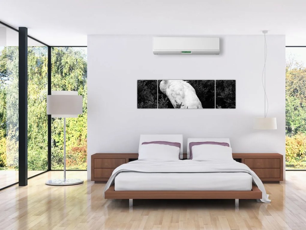 Obraz - Paw, czarno - biały (170x50 cm)