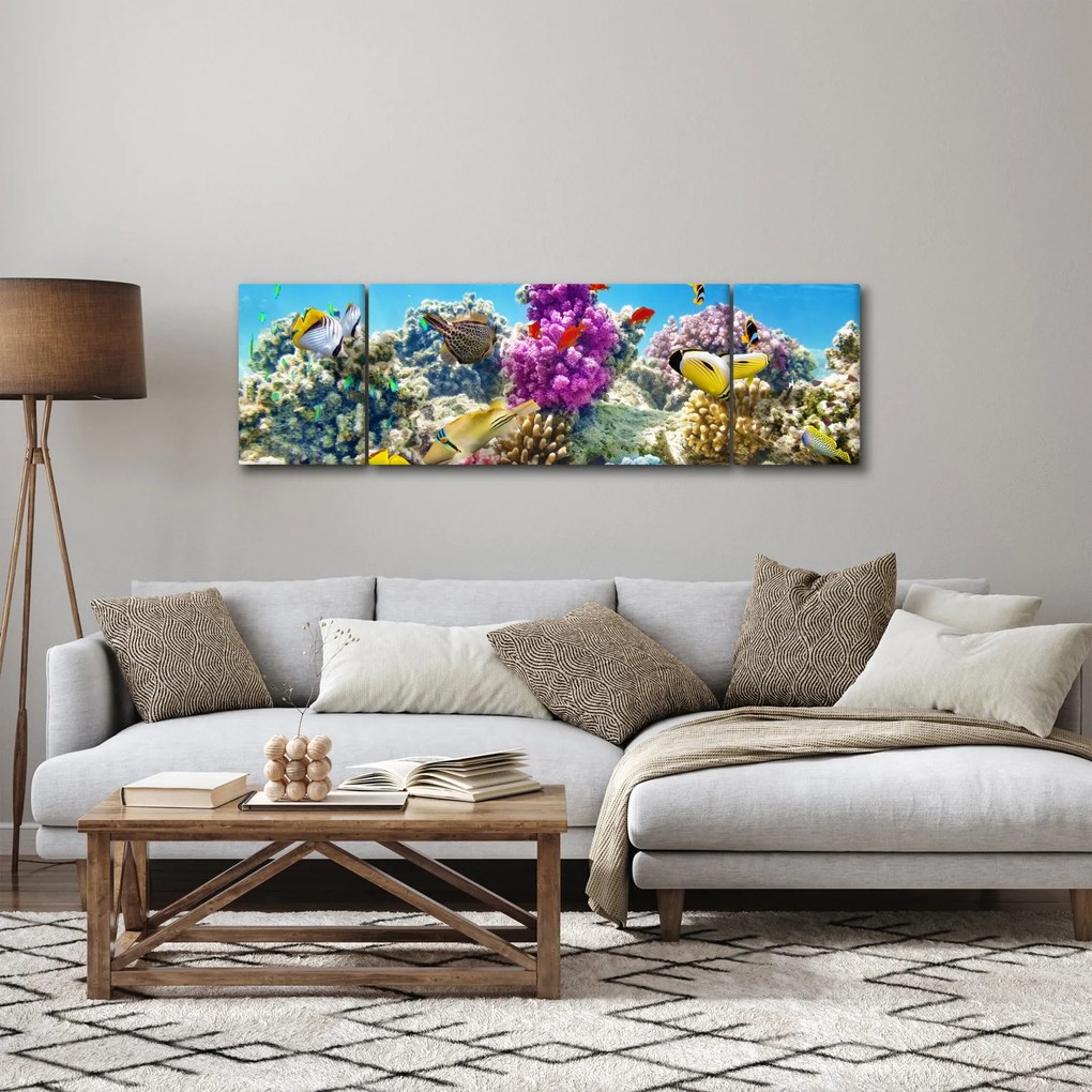 Obraz - Morski świat (170x50 cm)