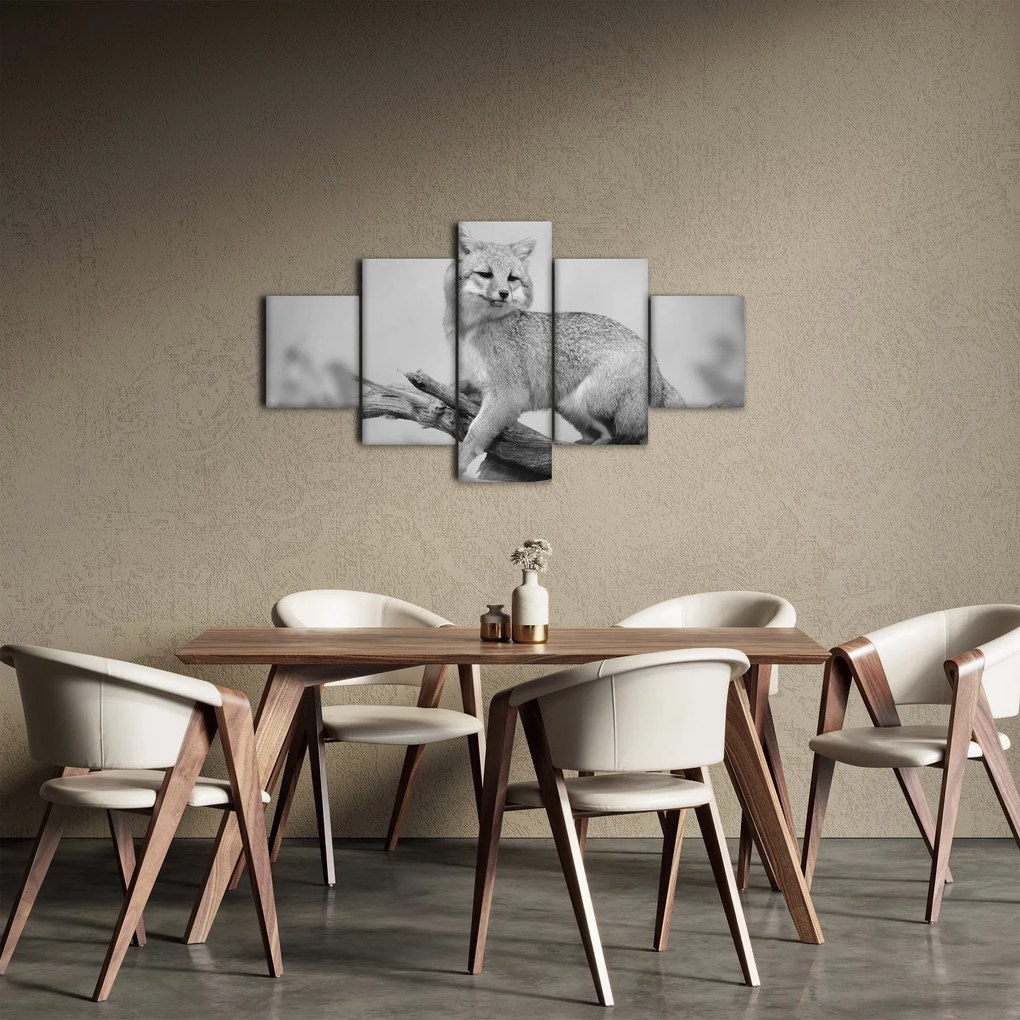 Obraz - Lis szary (125x70 cm)