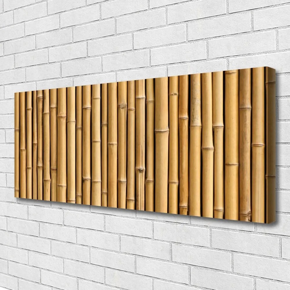 Obraz canvas Zielone Pędy Bambusa