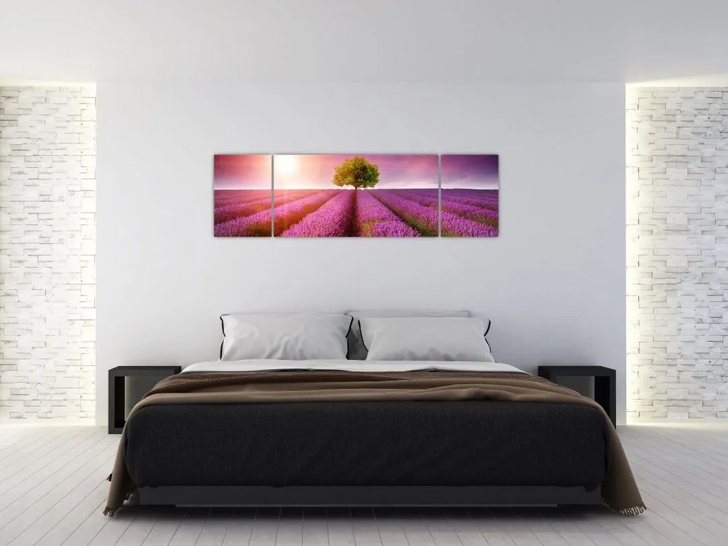 Obraz pola z lawendą (170x50 cm)