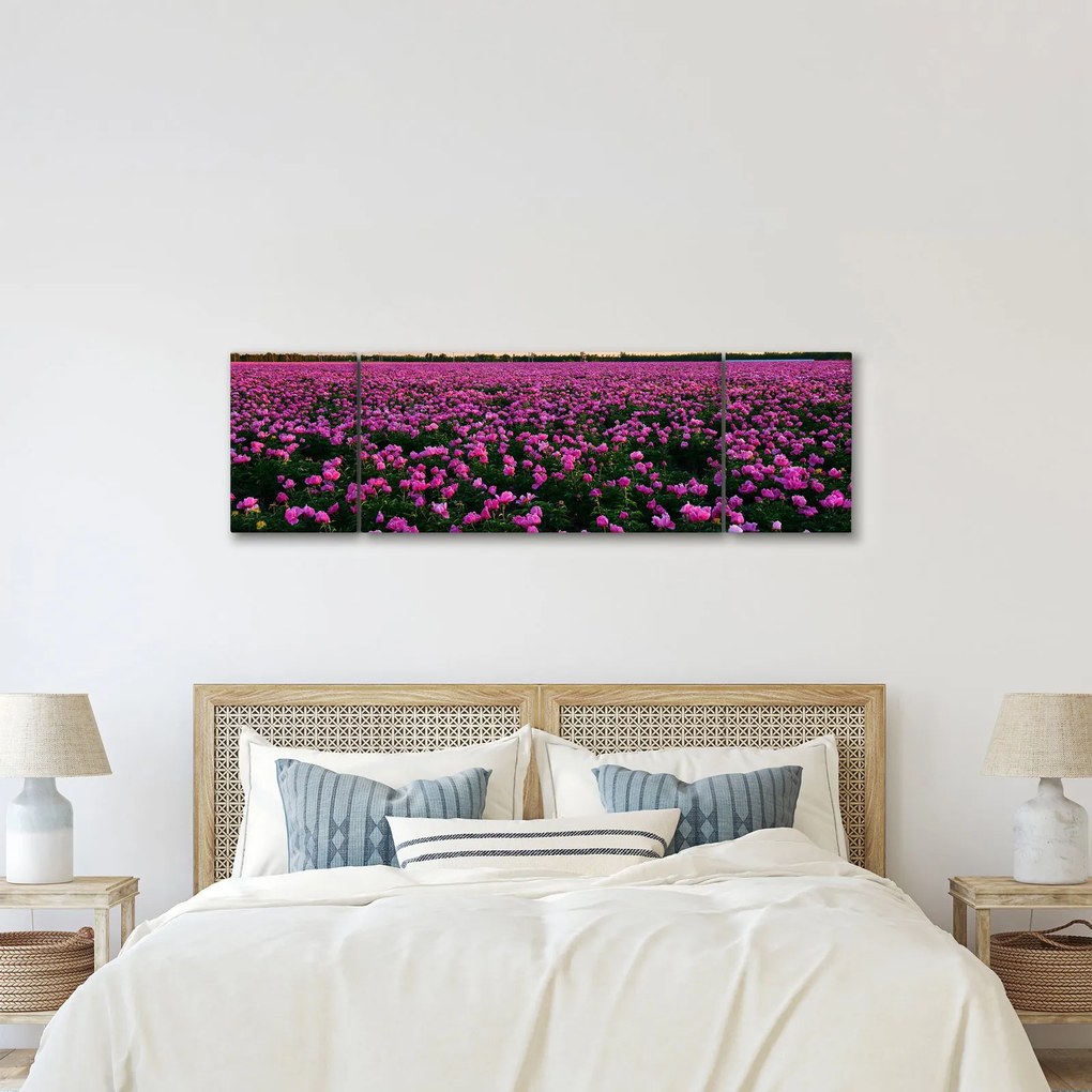 Obraz - Łąka fioletowych tulipanów (170x50 cm)