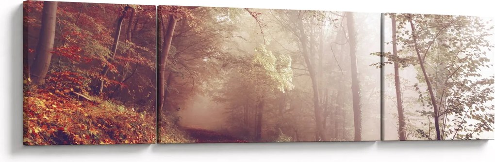 Obraz - Jesienny spacer po lesie (170x50 cm)