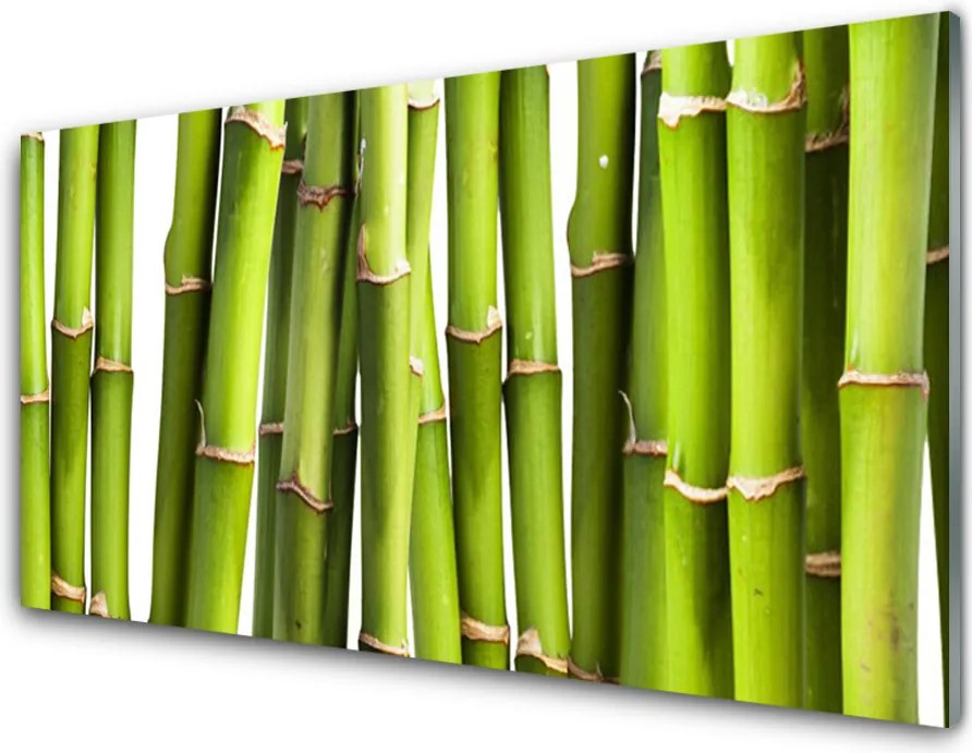 Szkło do Kuchni na Ścianę Świeże Pędy Zielonego Bambusa