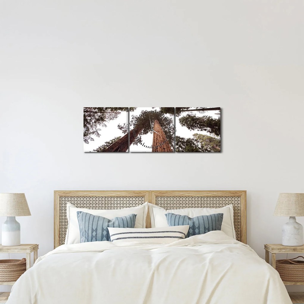 Obraz - Widok przez korony drzew (z zegarem) (90x30 cm)