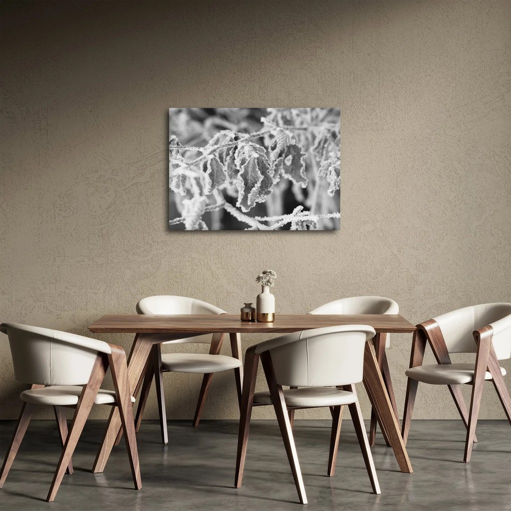 Obraz - Zmarznięte liście, czarno - biały (70x50 cm)