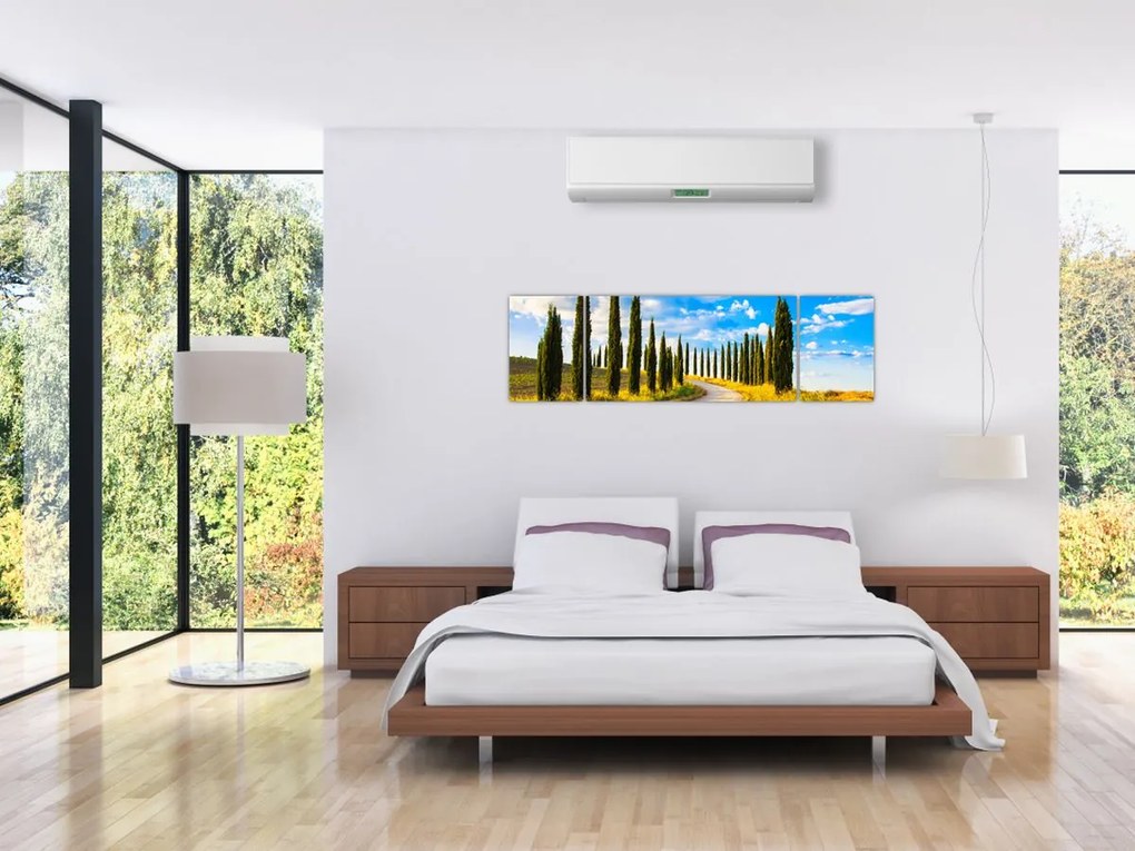 Obraz - Krajobraz (170x50 cm)