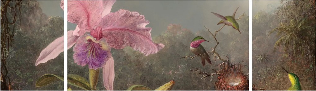 Obraz - Martin Johnson Heade, Cattleya Orchid and Three Hummingbirds, reprodukcje (170x50 cm)