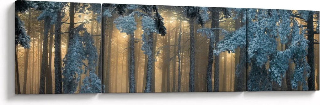 Obraz zaśnieżonego lasu (170x50 cm)