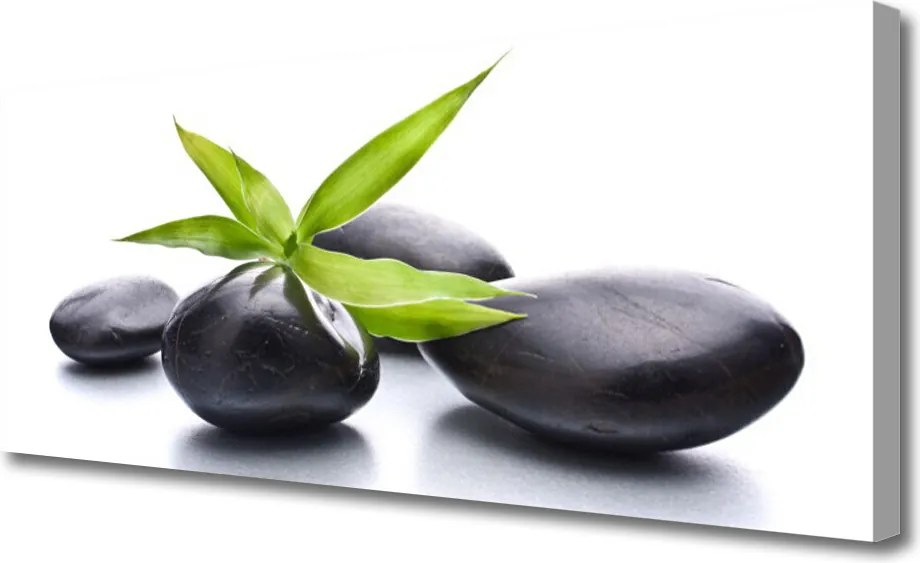 Obraz na płótnie Duet Kamienia i Liścia