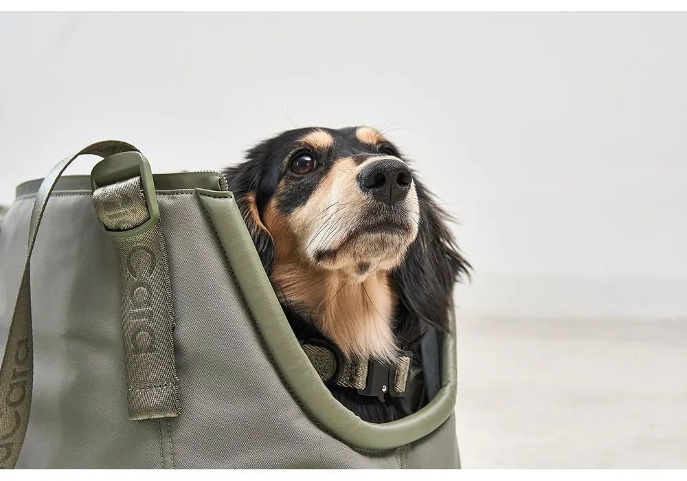 Torba transportowa dla psów 25x45 cm Sporta Grolive S/M – MiaCara