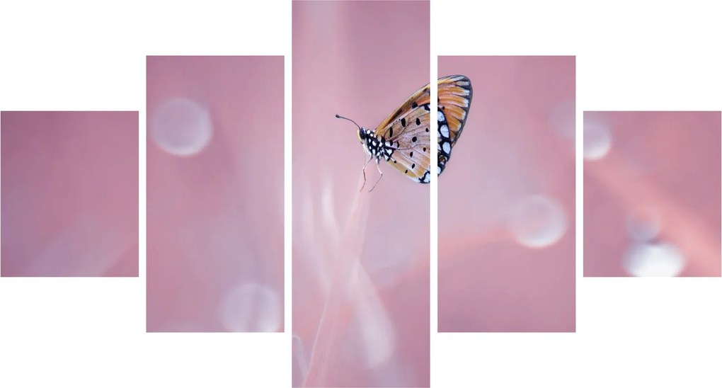 Obraz - Motyl (125x70 cm)
